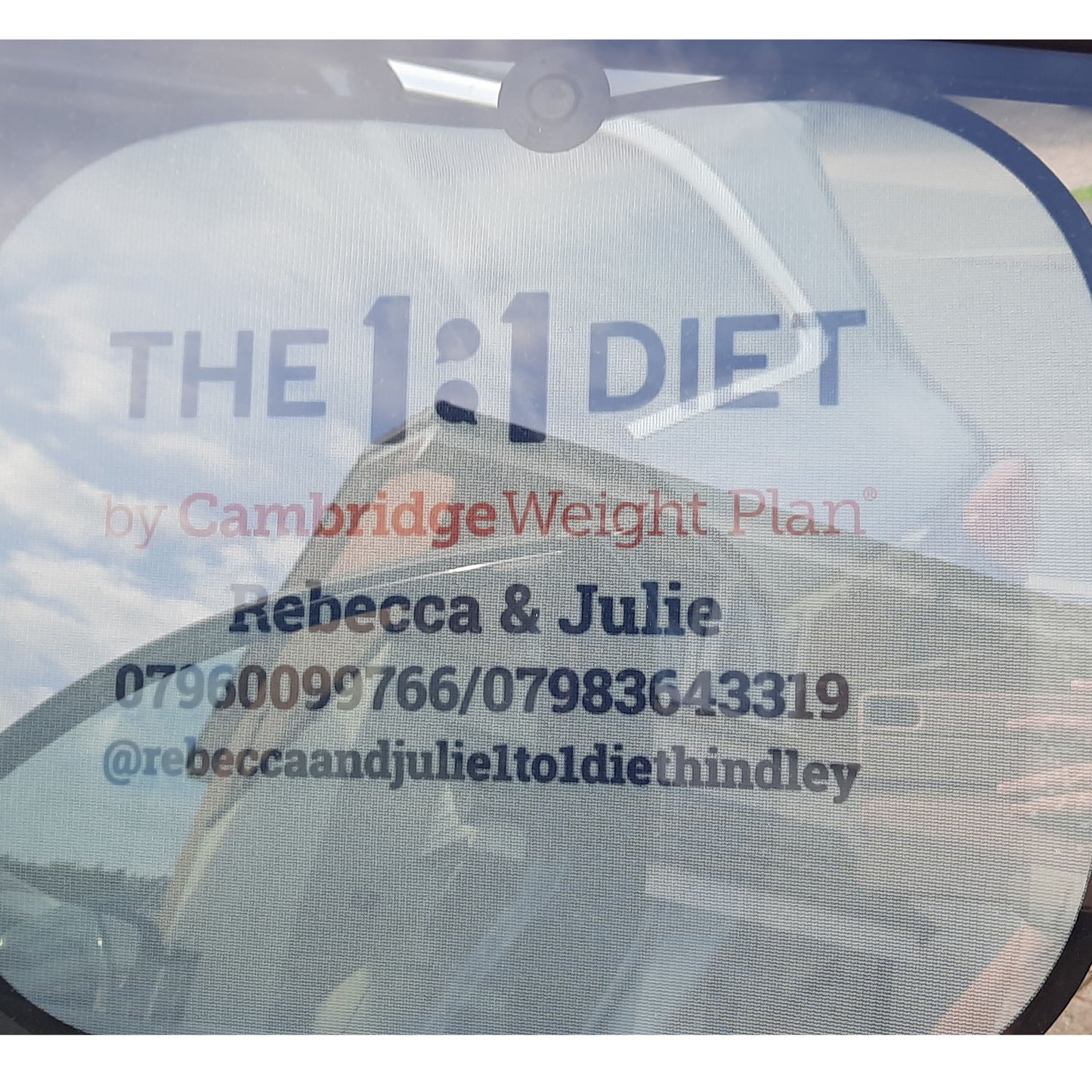 The 1:1 Diet - Car Window Hanger & Window Shades Set