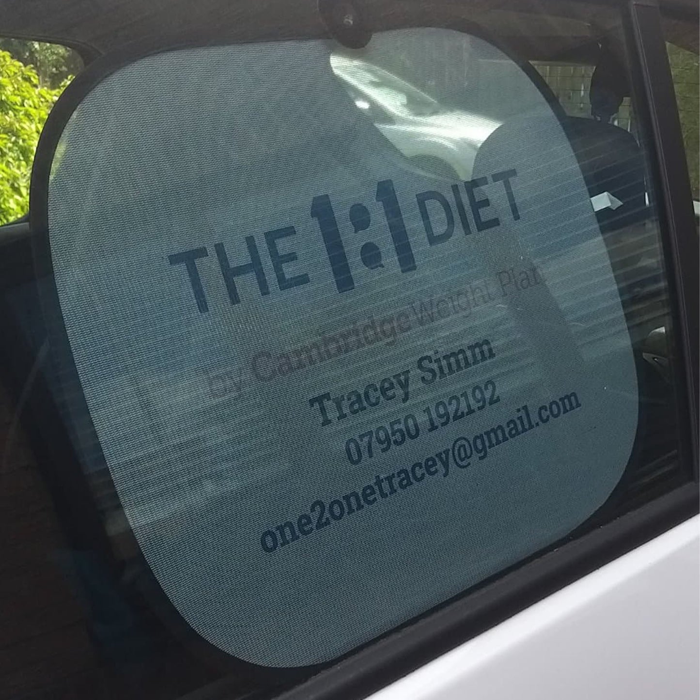 The 1:1 Diet - Car Window Shades